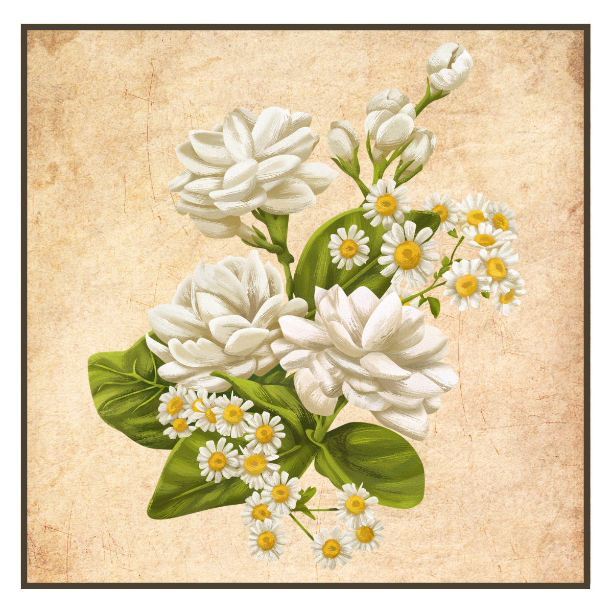 Organic Chamomile Ginger